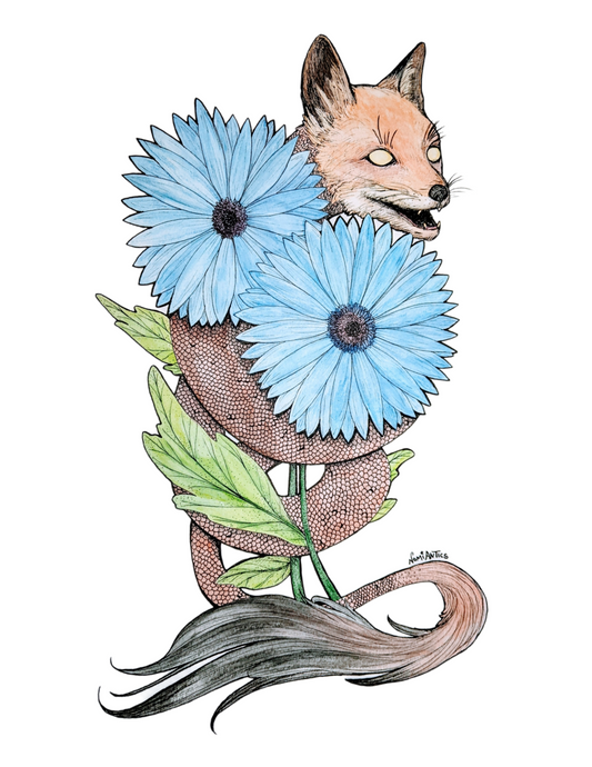 Gerbera Fox