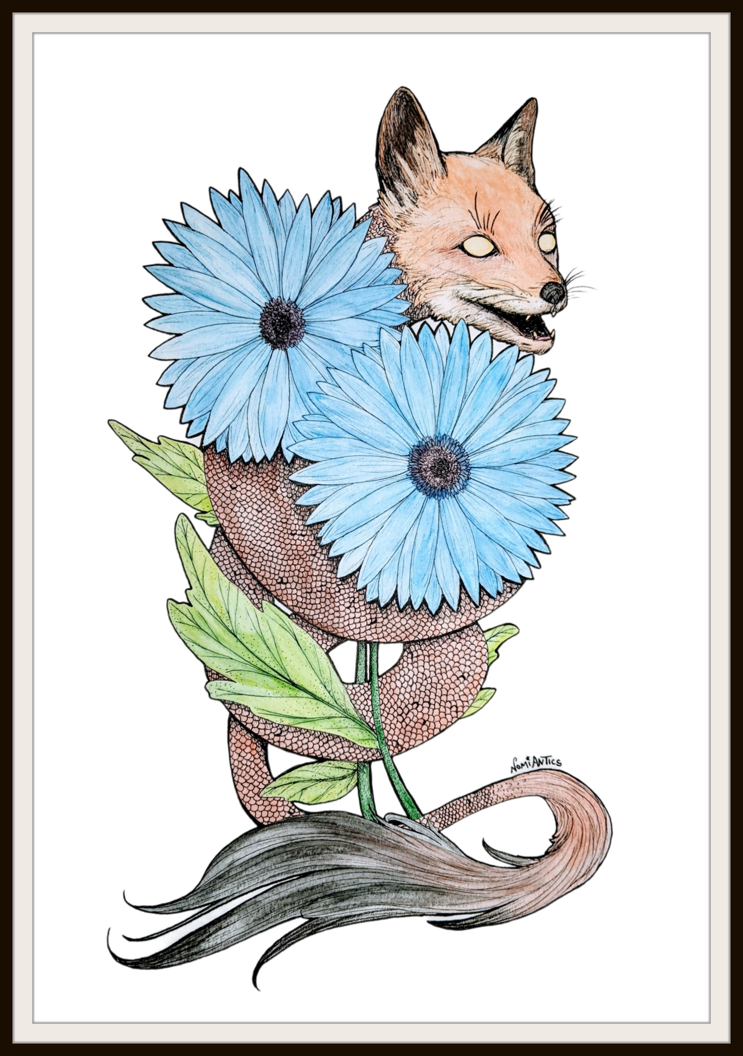Gerbera Fox