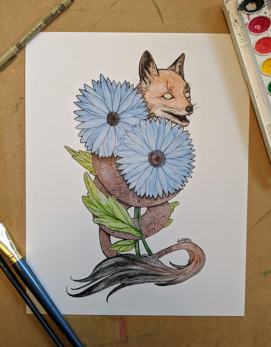 Gerbera Fox